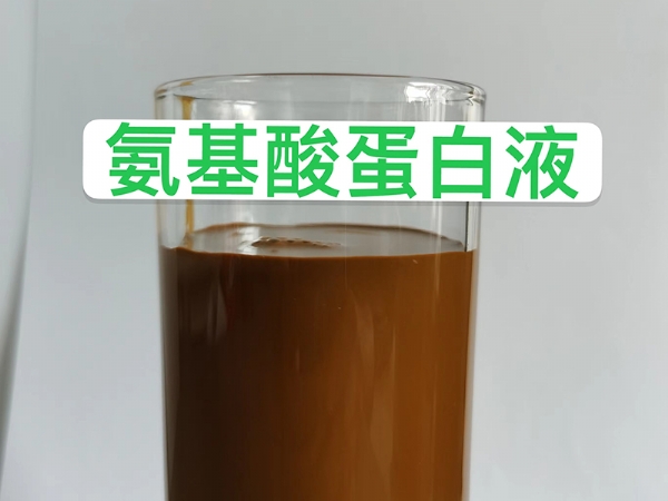 氨基酸蛋白液